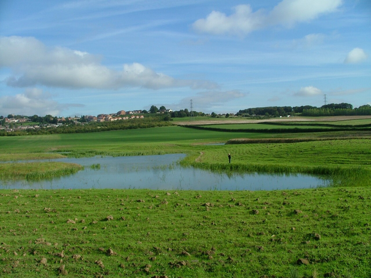 Wetland habitat and watercourse management