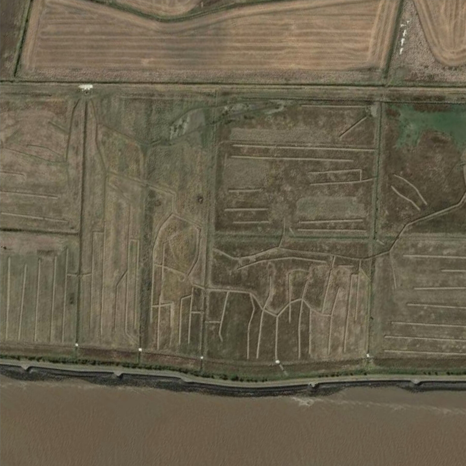 East Halton Wet Grassland Creation