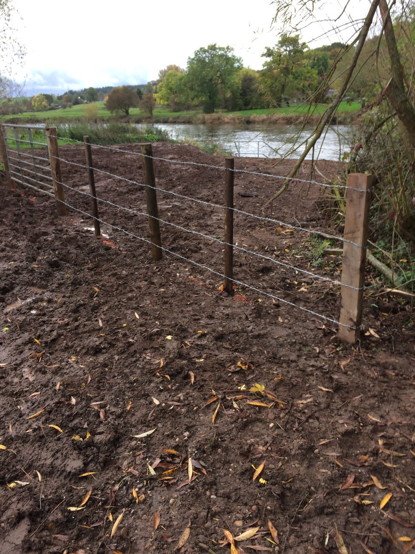 Riverside restoration and fencing work