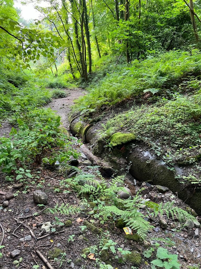 Habitat protection and conservation at Midgey Gill