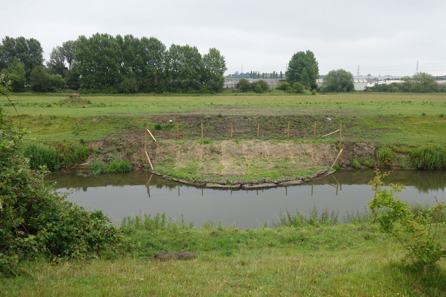 River Rother restoration landscape