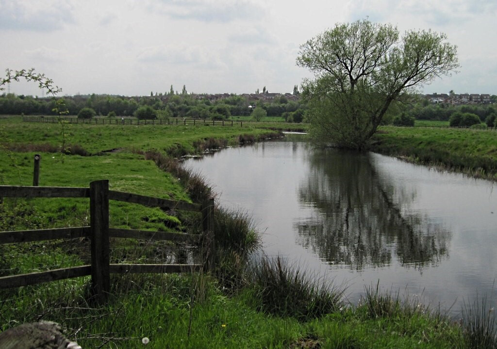 River Rother at Woodhouse Washlands Nature Reserve