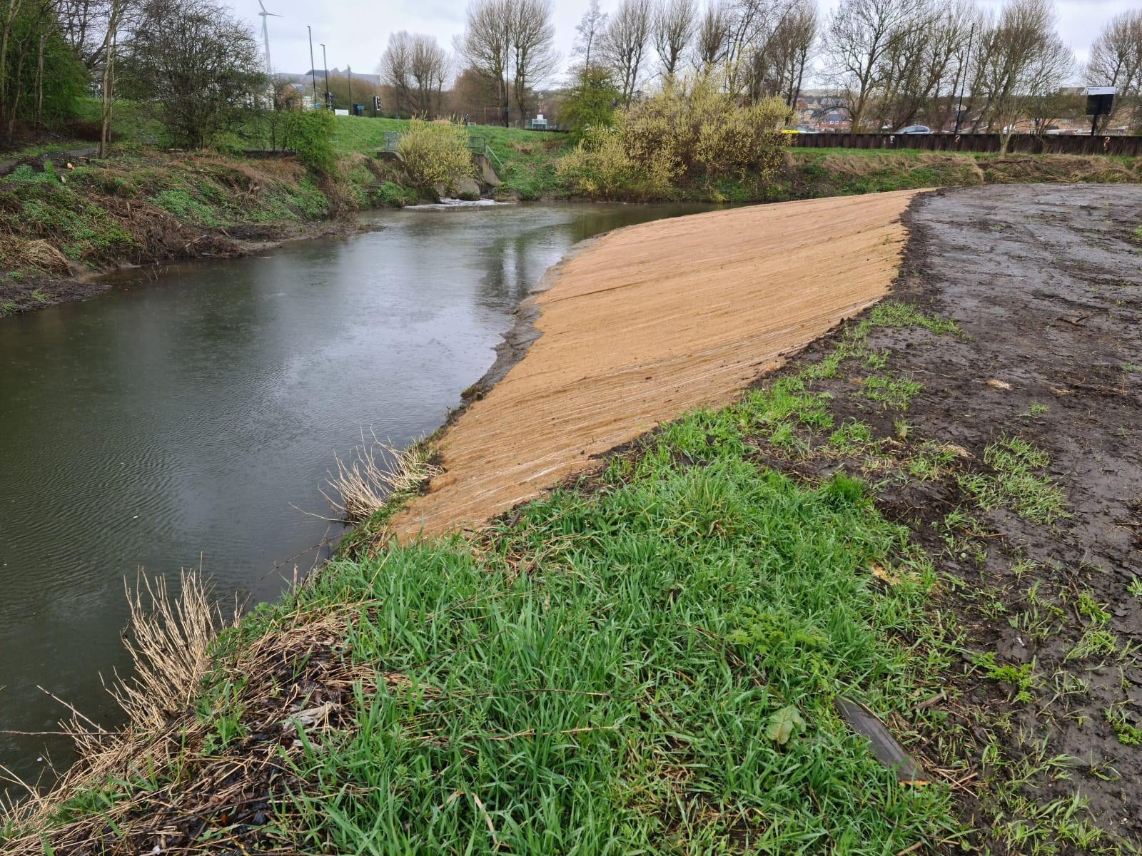 Pre-seeded erosion control matting at the River Rother