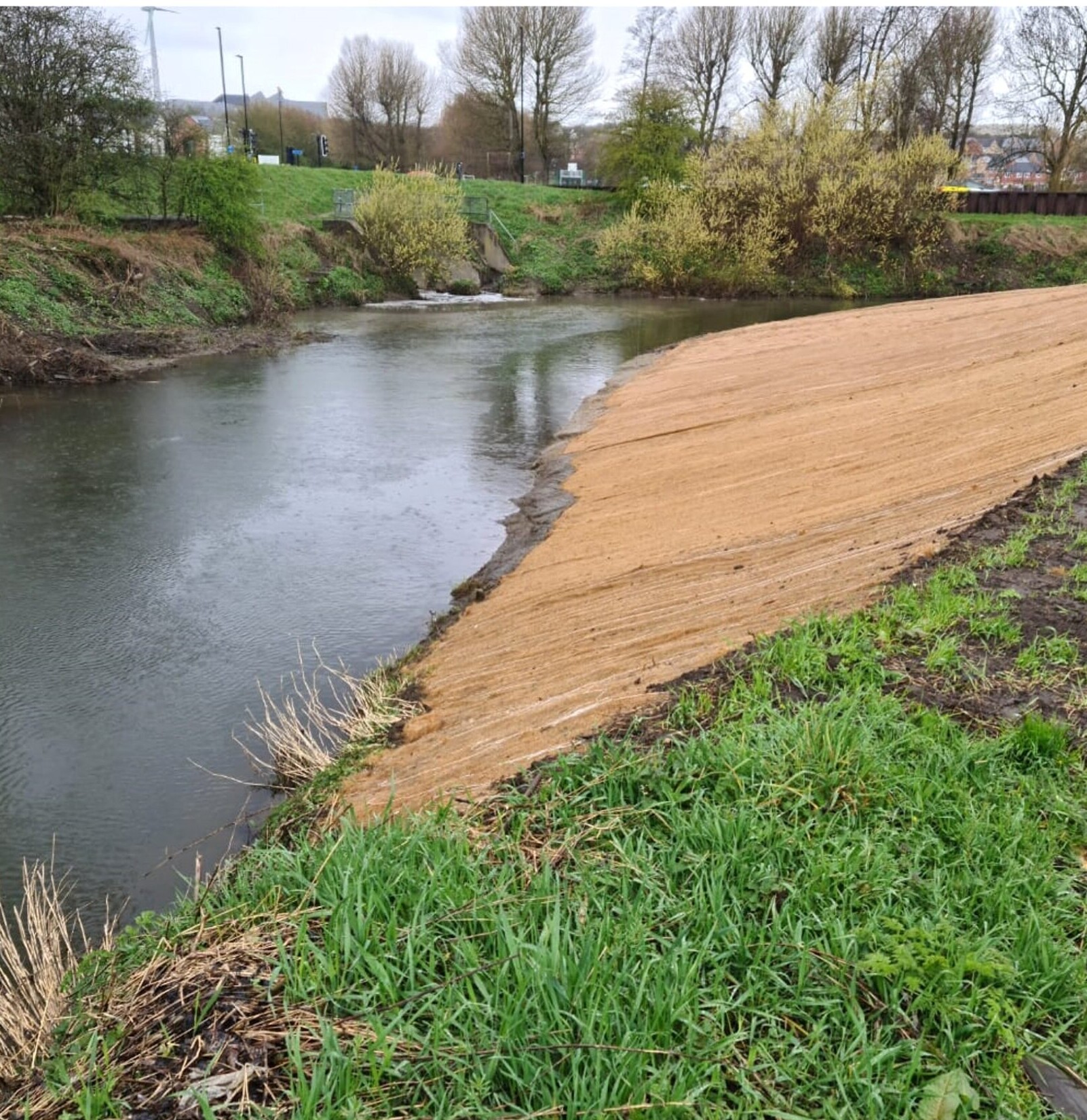 Sheffield Wildlife Trust Treeton Waverley